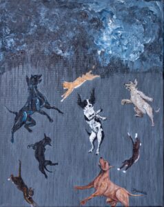 Raining Cats And Dogs (5)
