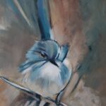 The Fairy wren
