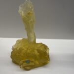 Hortopiary ( Blue/Gold)