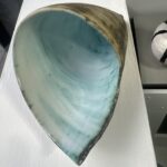 Green Shell