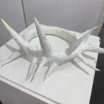 Crown of Thorns