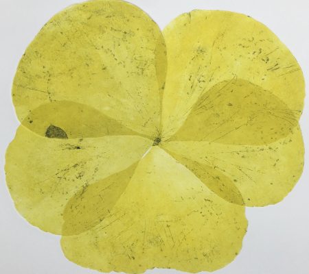 Maria Storey Flora